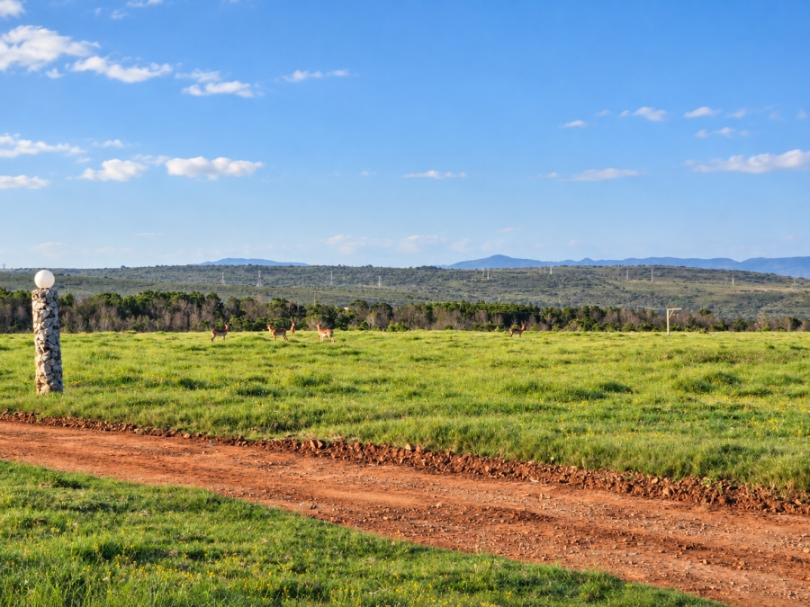 0 Bedroom Property for Sale in Kabeljauws Eastern Cape
